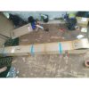 Cemara Norfolk Pentris 2 Meter Up