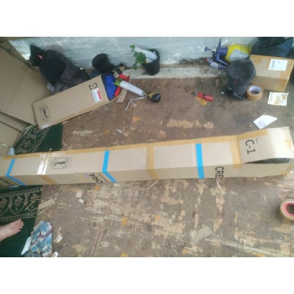 Cemara Norfolk Pentris 2 Meter Up