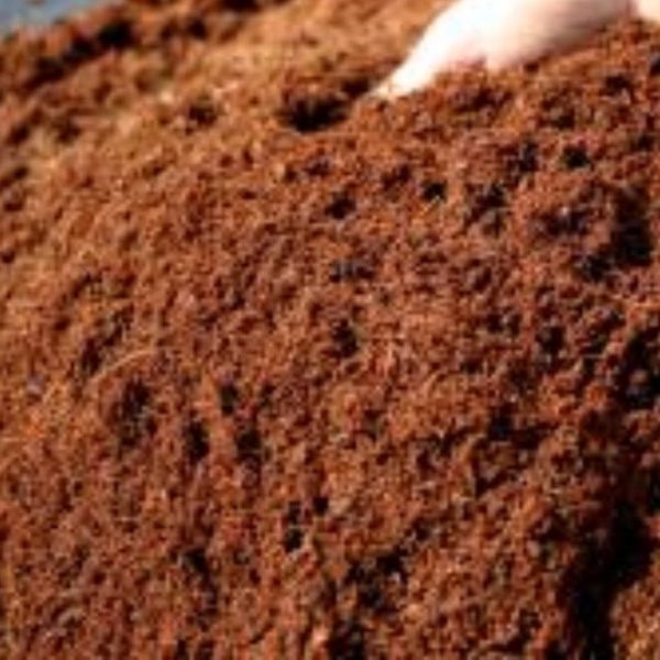 cocopeat media tanam cocopit