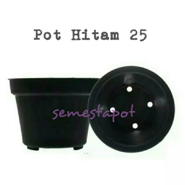 Pot Hitam 25