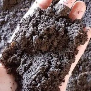 Tanah Lembang Murni 5kg Tekstur Gembur Hitam